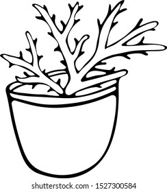 Scarlet flower in pot doodle style black and white. Hand drawn illustration. Useful plant for the creation of cosmetics and medical applications. Aloe vera