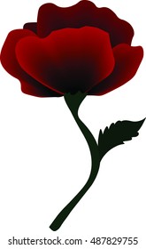 The Scarlet Flower a vector illustration