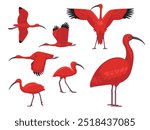 Scarlet Ibis Bird Exotic Various Poses Cartoon Vector Character