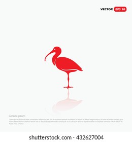 Scarlet ibis - vector illustration