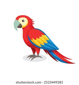 Scarlet Macaw bird isolated flat vector illustration on white background
