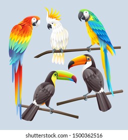 Scarlet macaw, blue macaw, white cockatoo and two toco toucans vector illustration