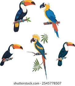 Scarlet macaw, blue macaw, white cockatoo and two toco toucans vector illustration