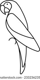 scarlet macaw parrot macaw feather creature bird Outline eps
