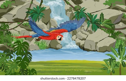 A scarlet macaw parrot flies over a waterfall in the jungle. Rock, creepers, banana trees and epiphytic ferns. South America and Africa. Realistic Vector Landscape