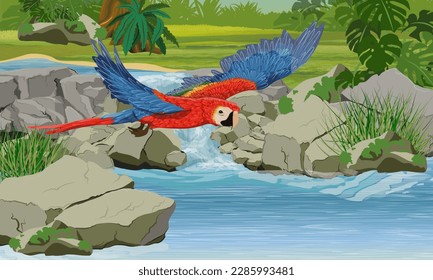 A scarlet macaw parrot flies over a river with a small waterfall. Rock, creepers, banana trees and epiphytic ferns. South America and Africa. Realistic Vector Landscape