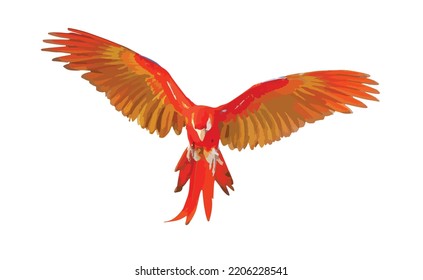 Scarlet macaw parrot flying isolated on white background. Vector illustration