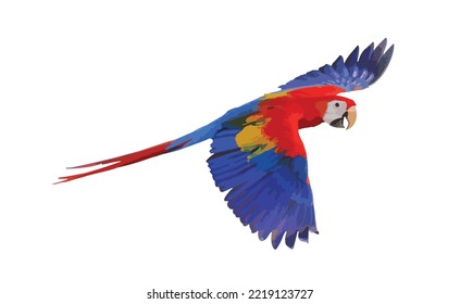 Scarlet macaw parrot flying isolated on white background. Vector Illustration.