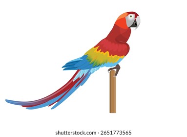 Papagaio-arara-vermelha empoleirado em um galho. Pássaro tropical exótico com penas vermelhas, amarelas e azuis vibrantes. Ilustração vetorial isolada no plano de fundo branco