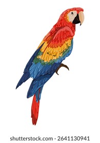 Scarlet macaw parrot. Realistic Vector South American and Caribbean Jungle Bird