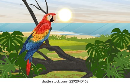 Scarlet macaw parrot sit on the branches of a tropical plant near the sea coast. South America and Africa. Realistic vector landscape