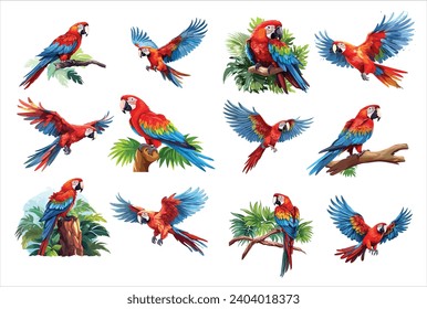 Scarlet Macaw Parrots Set - Realistic Vector Jungle Birds