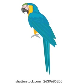 scarlet macaw posing perched in vector format