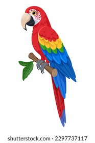 Scarlet macaw sitting on a branch vector illustration. Large red macaw tropical parrot with blue-yellow wings. Tropical bird isolated on white background. Stock vector.