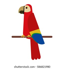 scarlet macaw tropical bird