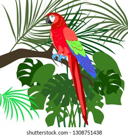 Scarlet macaw in tropical forest vector illustration