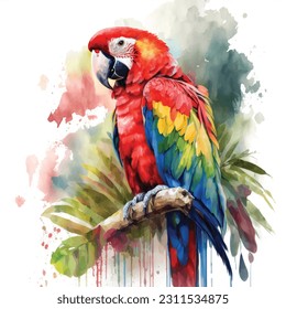 Scarlet Macaw watercolor hand paint