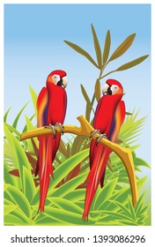 Scarlet macaws facing each other in the foliage background in vector illustration
