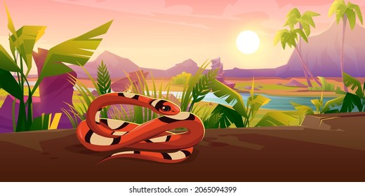 Scarlet milk snake on ground in grass. Vector cartoon illustration of summer tropical landscape with river, mountains, palm trees and exotic serpent with coiled long tail