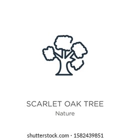 Scarlet oak tree icon. Thin linear scarlet oak tree outline icon isolated on white background from nature collection. Line vector sign, symbol for web and mobile