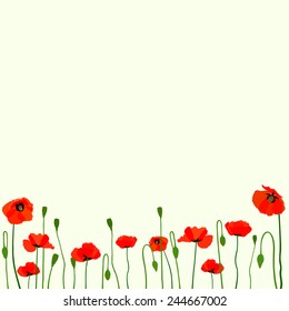 Scarlet poppies on a gentle light green background.