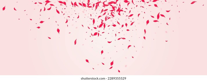 Scarlet Rose Vector Pink Panoramic Background. Fall Flower Banner. Coral Cherry Blur Frame. Ruby Tender Blossom Backdrop.