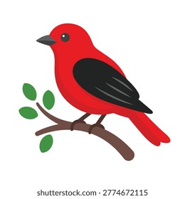 Scarlet tanager bird flat vector illustration isolated on white background