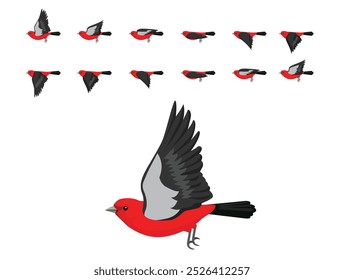 Scarlet Tanager Bird Flying Animation Sequence Cartoon Vector