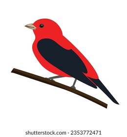 Scarlet tanager flat vector illustration clipart isolated on white background