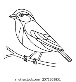 Scarlet Tanager hand drawing coloring page and outline vector design