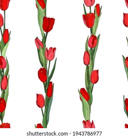 Scarlet tulip. Seamless vector pattern of hand drawn botanical elements. Vertical bouquets of spring flowers. Isolated buds and leaves on a white background. Latin name Tulipa.
