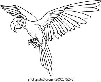 ilustración vectorial de la línea escarlata-macaw aislada en fondo blanco
