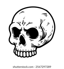 scary angry detailed skull isolated drawing line art style sketch classic vintage design illustration