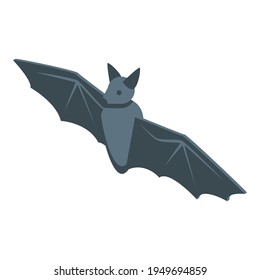 Scary bat icon. Isometric of Scary bat vector icon for web design isolated on white background