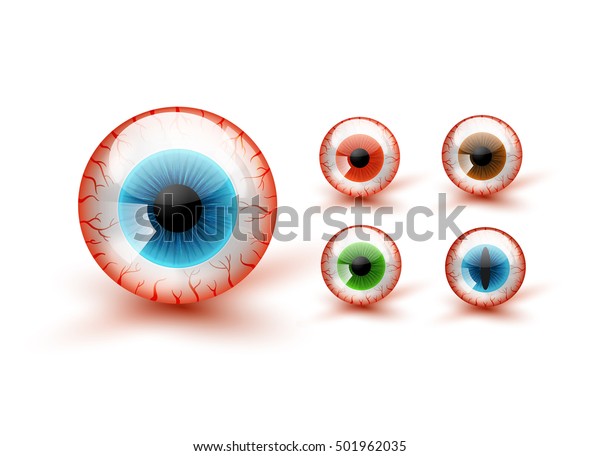 Scary Bloody Realistic Eyeballs Vector Halloween Stock Vector (Royalty ...