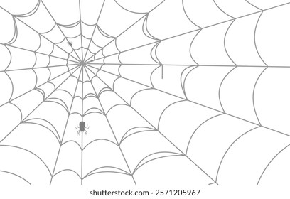 scary cob web spider transparent background