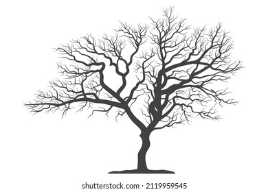 Scary dead tree silhouette image