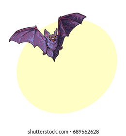 Scary flying Halloween vampire bat, sketch style vector illustration with space for text. Hand drawn, sketch style vampire bat flying with wide spread wings, Halloween object