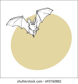 Scary flying Halloween vampire bat, sketch style vector illustration with space for text. Hand drawn, sketch style vampire bat flying with wide spread wings, Halloween object
