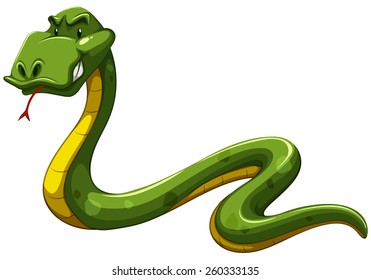 Scary green snake on a white background