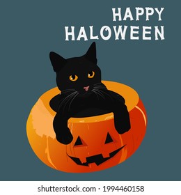Scary halloween  jack-o-lantern and black cat on dark background. Vector Illustration of  kitten are in a pumpkin