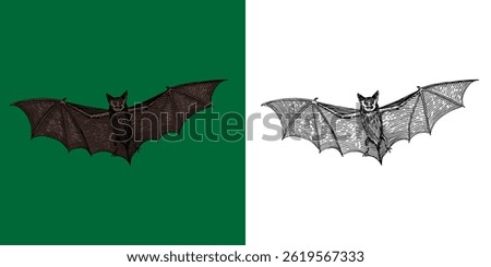Scary hand drawn flying bat. Halloween witchcraft and sorcery animal magician and voodoo engraved vampire