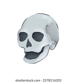 a scary head skull skeleton