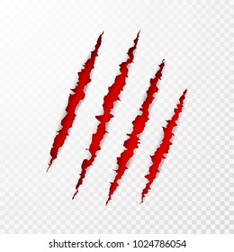 Scary leceration paper surface. Wild animal claws scratch texture with red background. Torn paper edge. Isolated vector illustration
