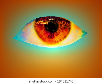 Scary orange eye. Vector 