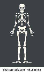 Scary skeleton. Vector flat cartoon illustration