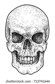 Scary skull illustration, drawing, engraving, ink, line art, vector