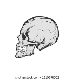 A Scary skull vector design