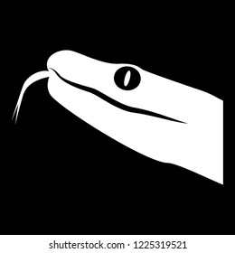 
A scary snakehead drawing showing reptile predator
