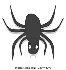 Scary Spider Character